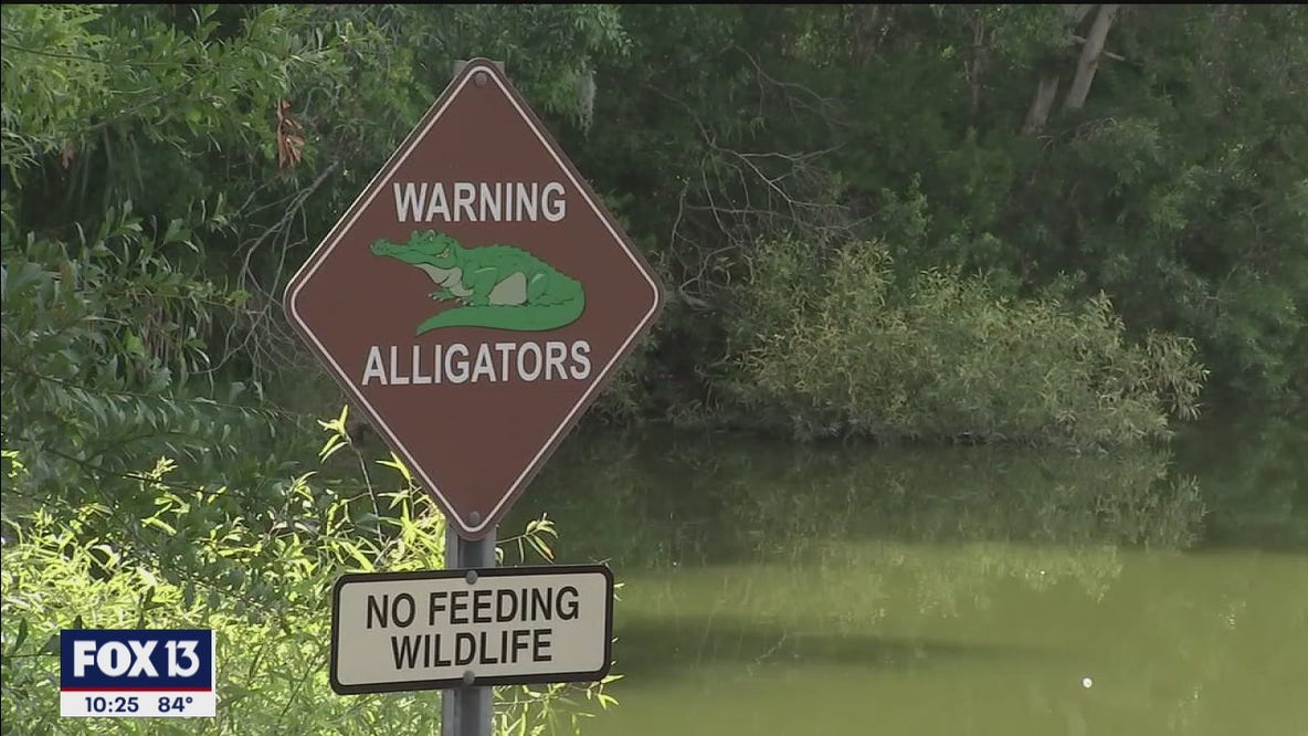 Watch for gators during mating season